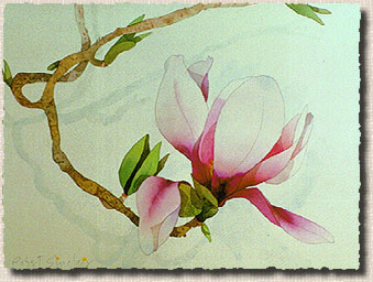 [Magnolia Twist]