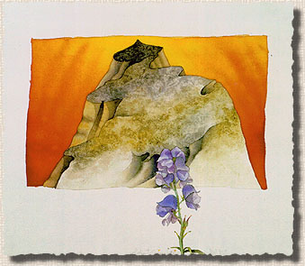 [Mountain Soaring]